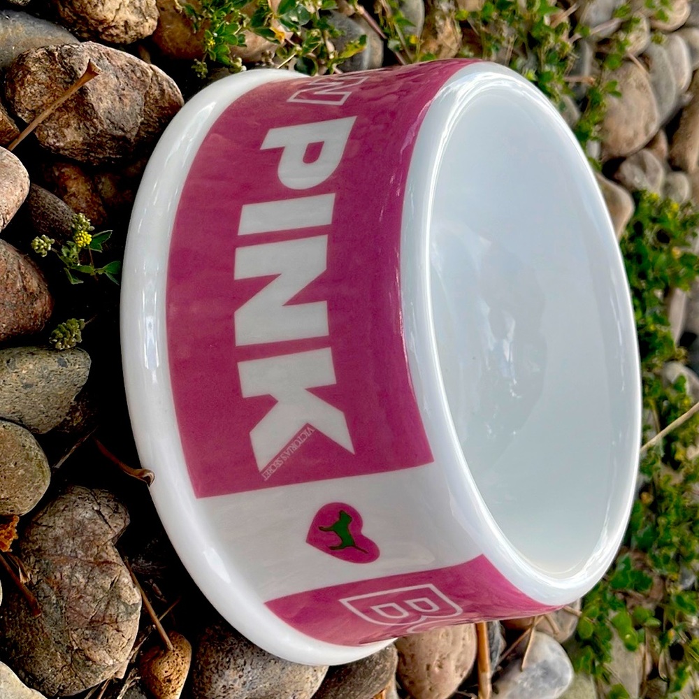 2 PINK by Victoria’s Secret pet bowls